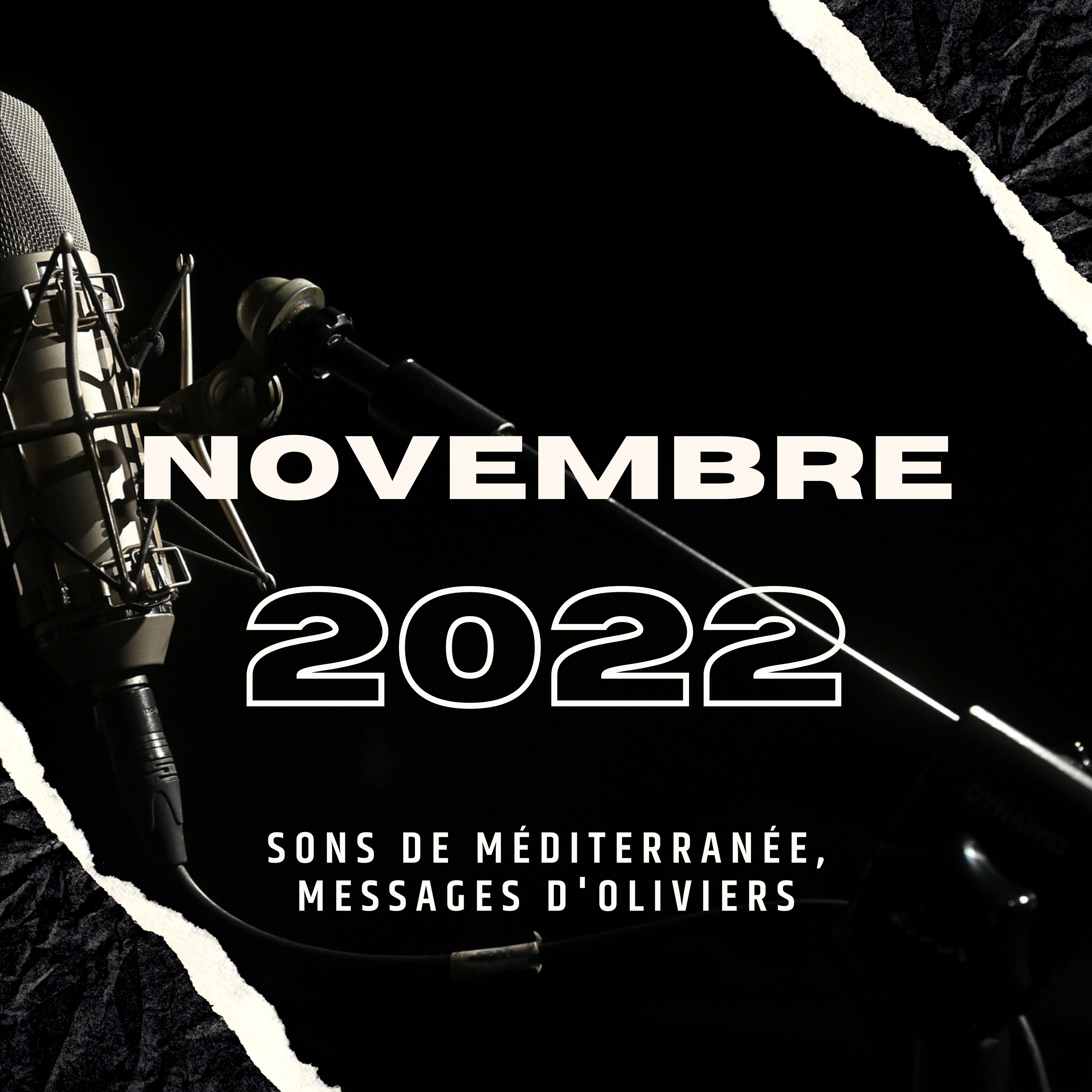 Novembre 2022  — Sons de Méditerranée, messages d’oliviers